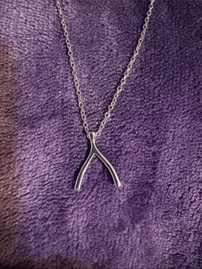 Sterling Forever adjustable Wishbone Necklace ✨shine bright lifetime guarantee